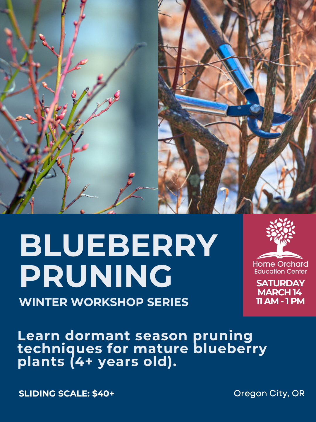 2026 workshops winterspringsummerfall (website size 1080 x 1440 px) (11).png