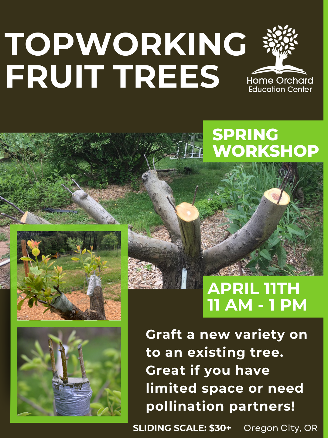 Spring Workshop Series: Top-Working Fruit Trees: Saturday, April 11th, 2026 11am-1pm