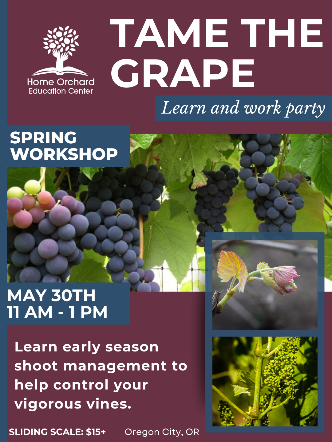 Tame The Grape! Spring Grape Control Saturday, May 30th, 2026 11am-1pm