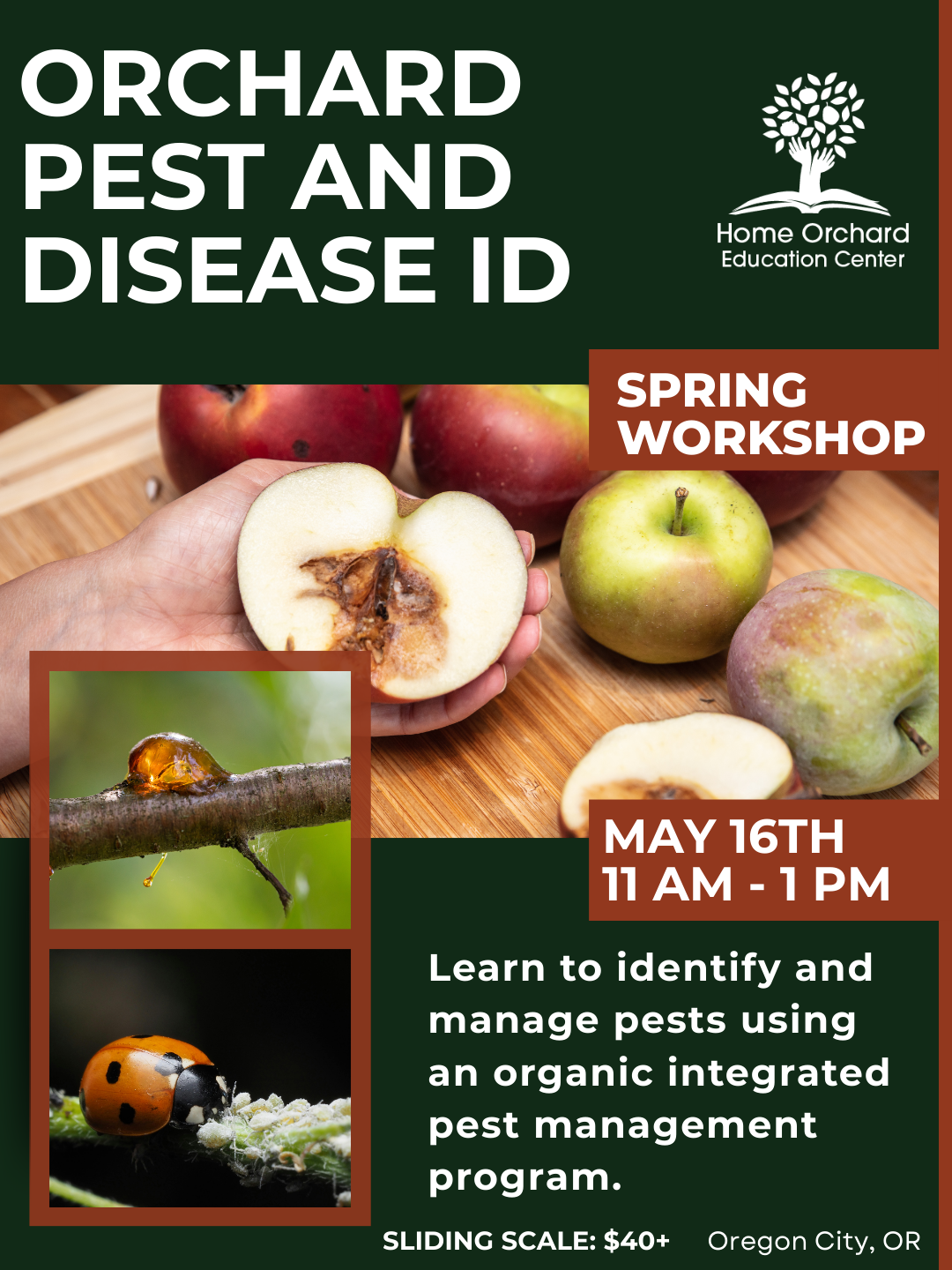 Spring Workshop Series: Orchard Pest & Disease ID + Organic Management Saturday, May 16th, 2026 11am-1pm