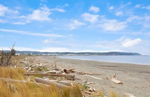 Land | Lot A13 Oak Harbor, WA | $375,000