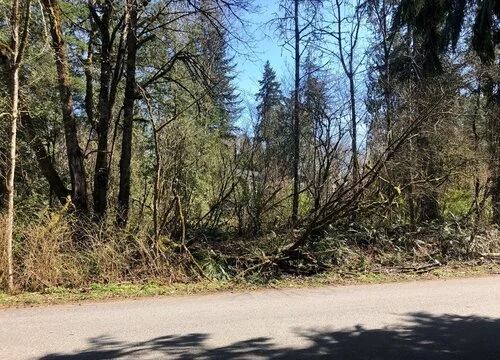Land | Lot 14xxx Woodinville, WA | $435,000