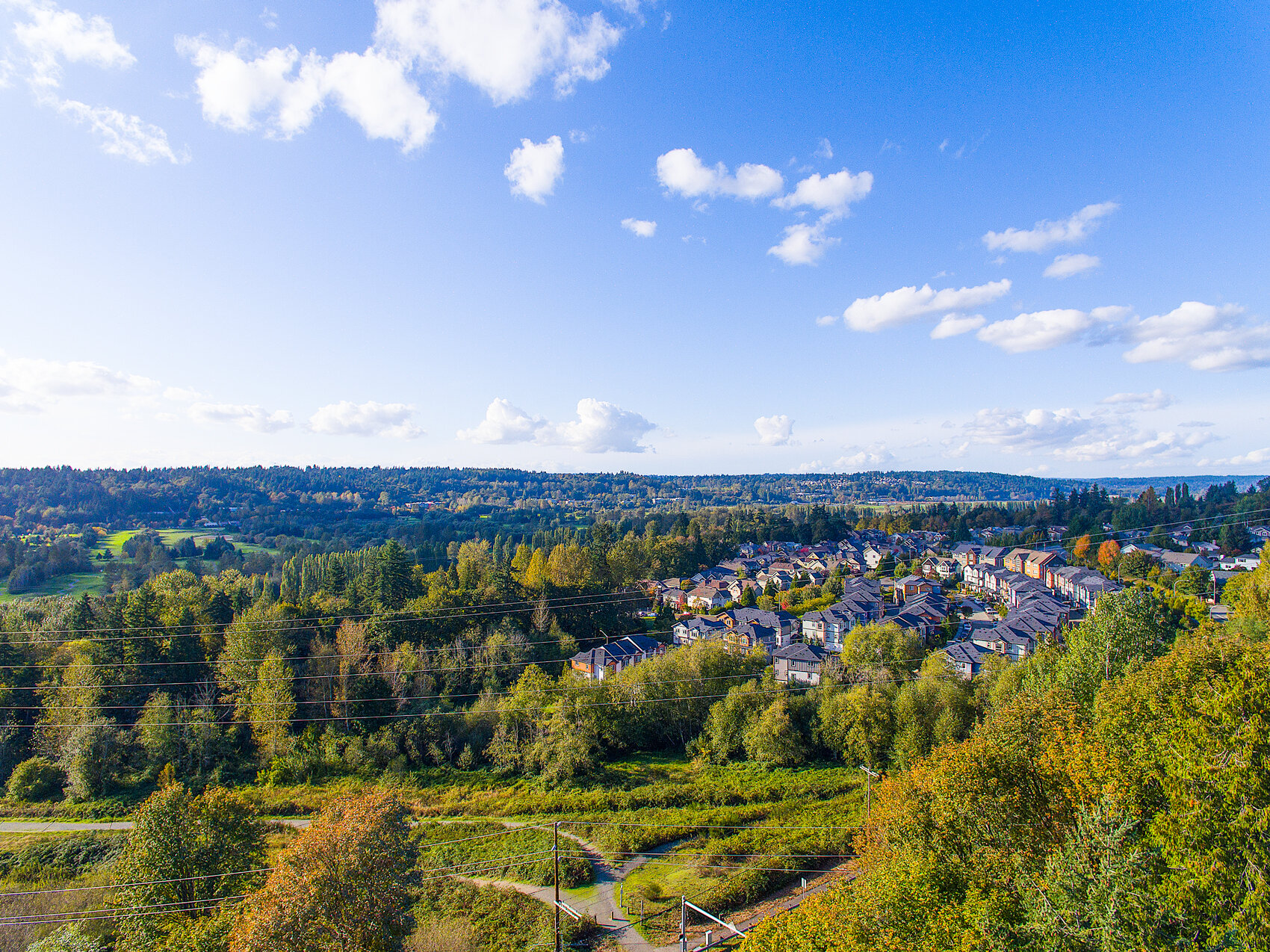 11e-drone view.jpg
