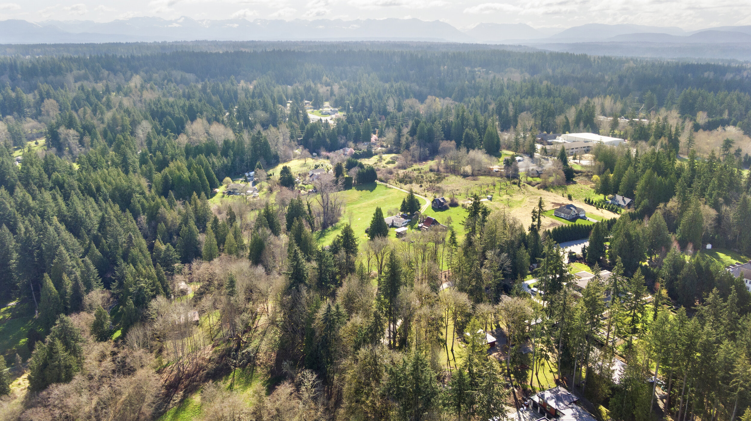 DJI_0337.jpg