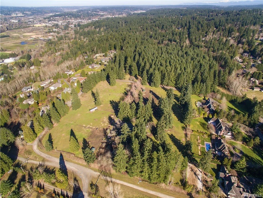 Aerial view of a residential neighborhood with large green lawns and numerous trees, surrounded by a dense forest.
