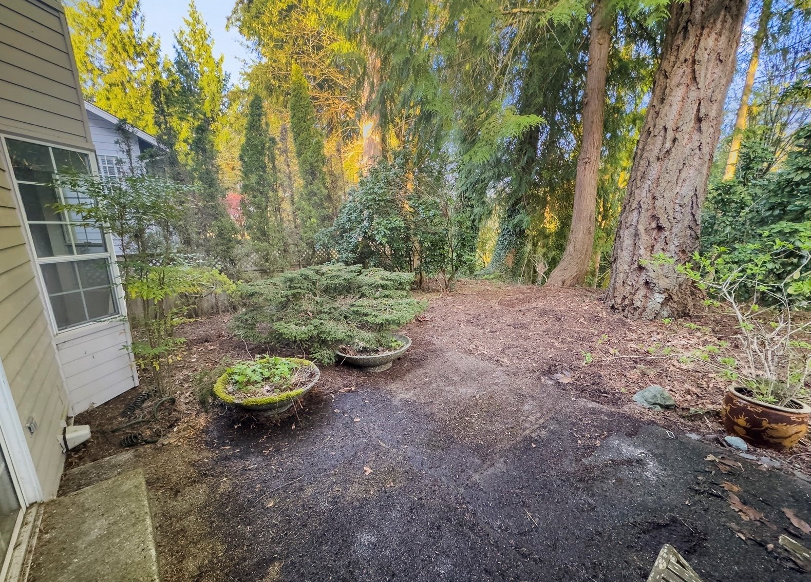 13506 NE 89th Ct, Redmond, WA 98052 13.jpeg