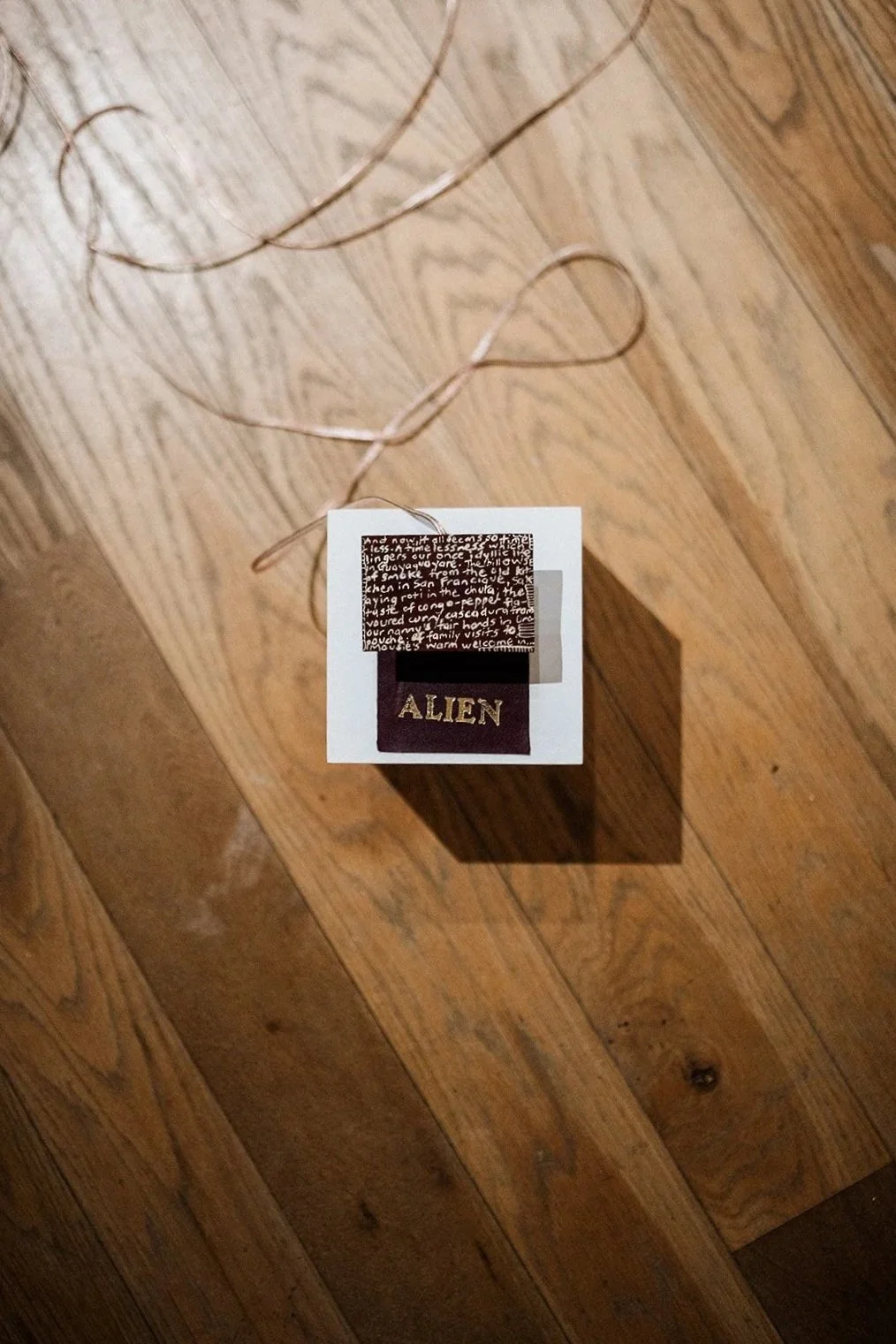 AmeliaReadphotography35.jpg