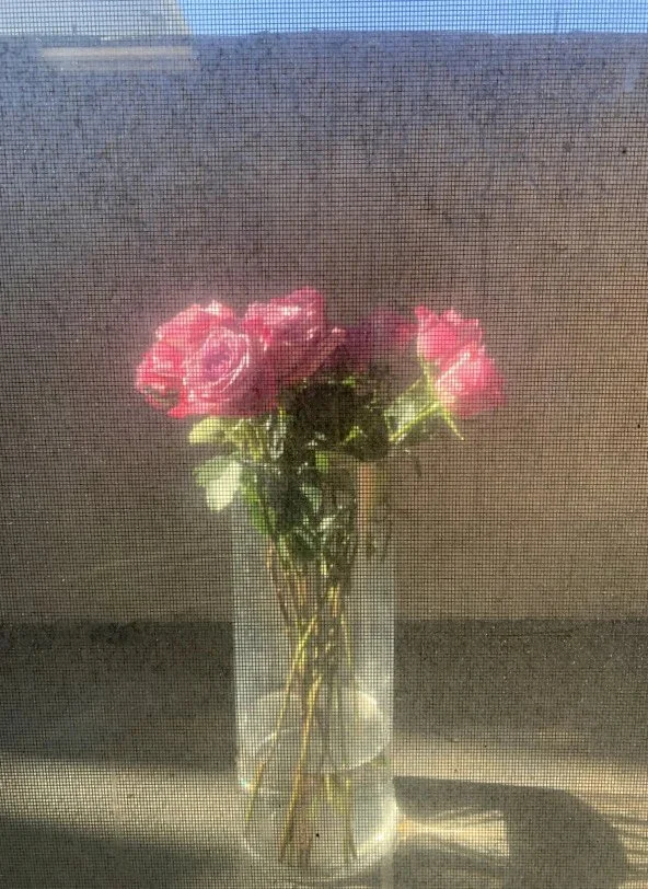 Martin’s Quarantine Photo Gallery 