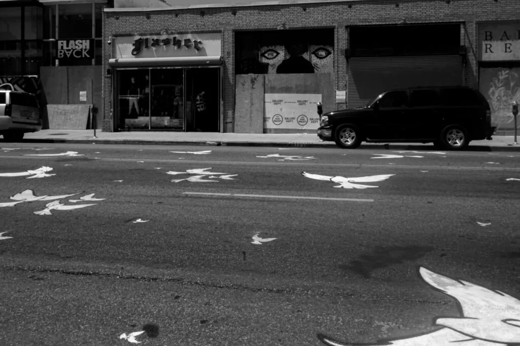 Painted-Doves-3-1024x682.jpeg