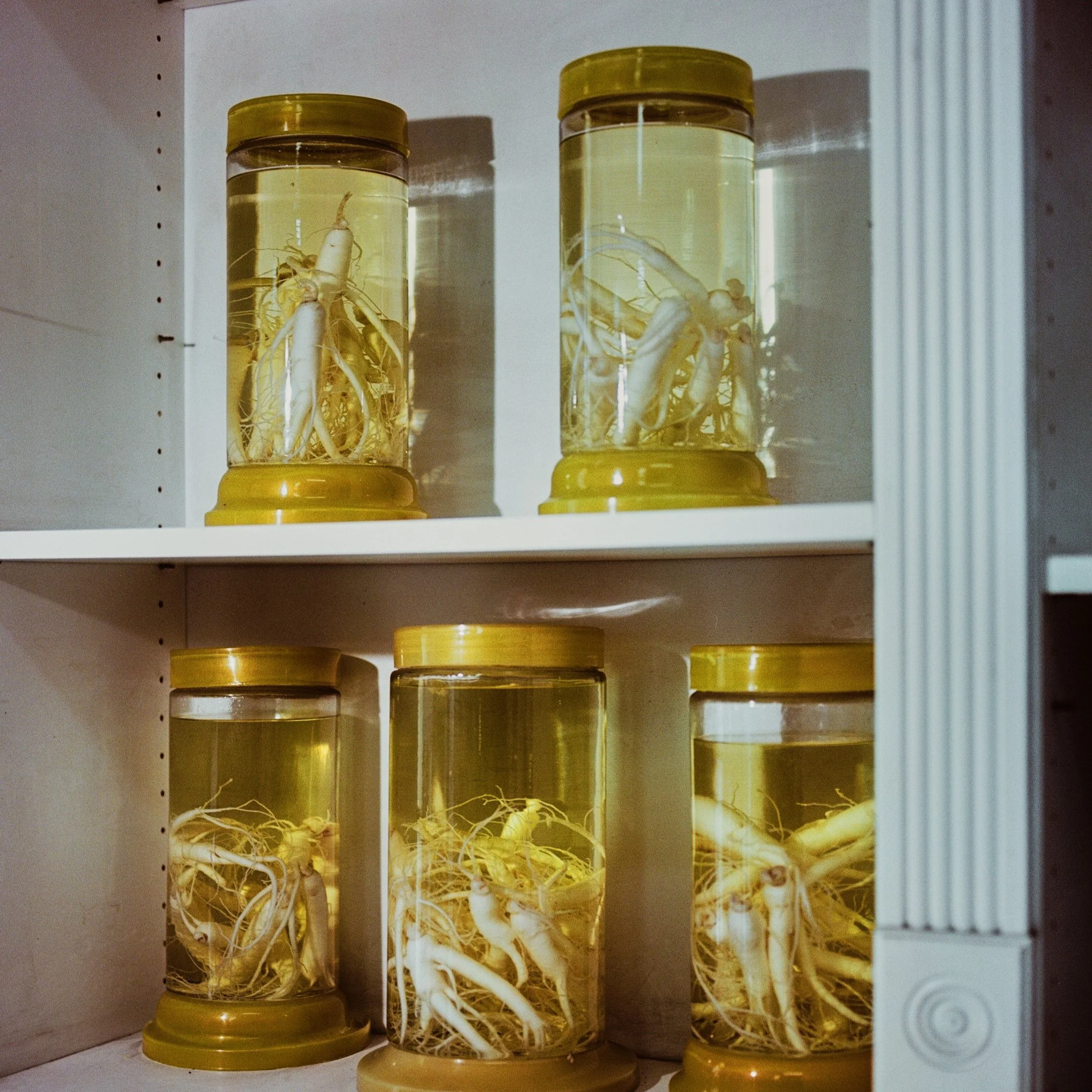 California Humanities Grant