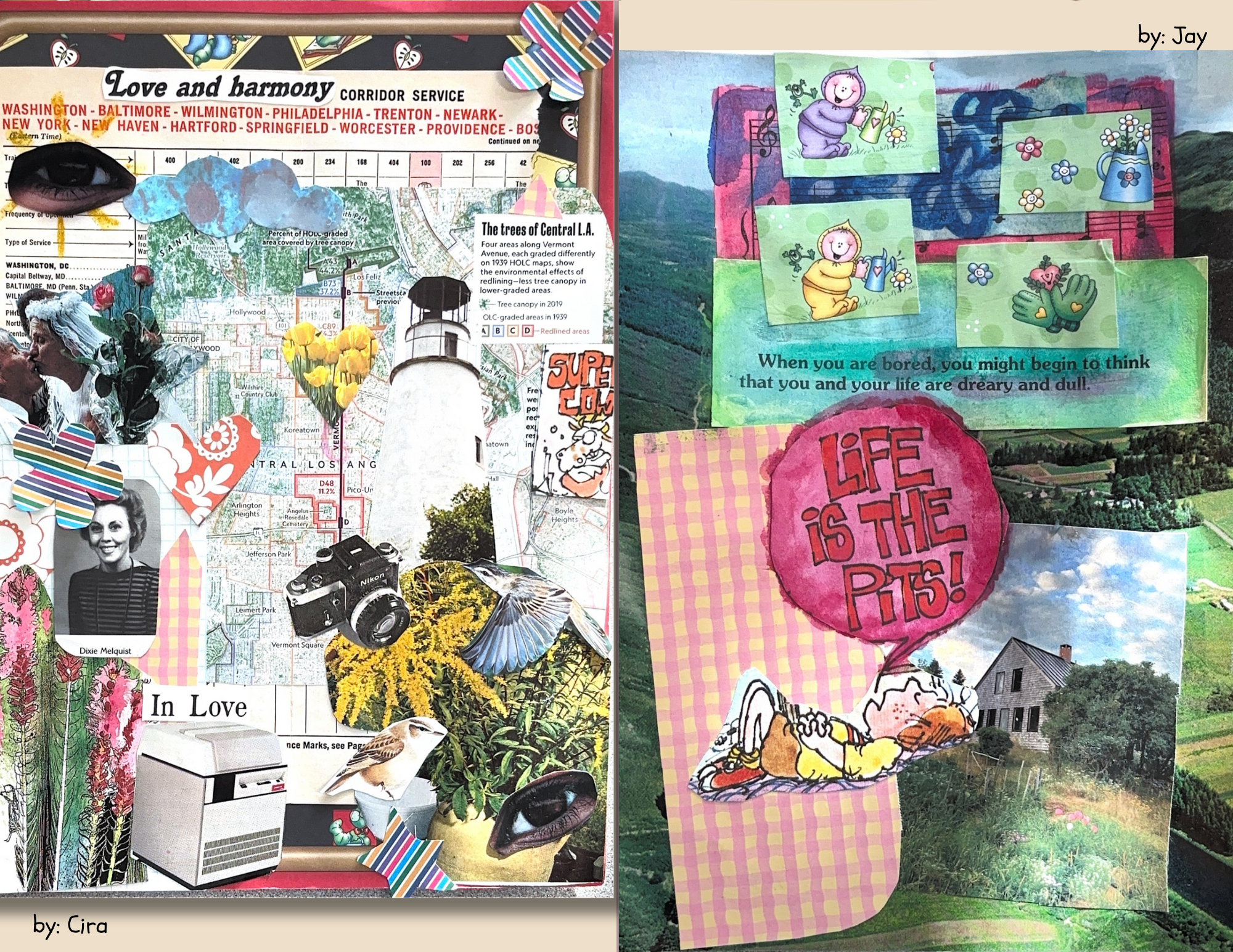 Collage Page 1.png