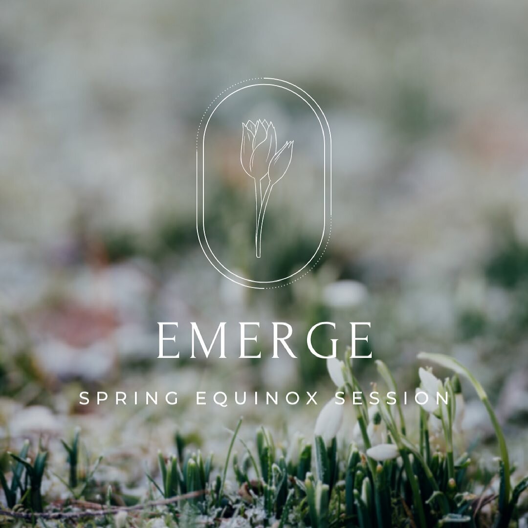 E M E R G E &bull; Spring Equinox Session 🌷⁣
⁣
Join @karlingdallyn next weekend for this afternoon yoga session to celebrate the Spring Equinox! ✨⁣
⁣
It&rsquo;s been a little bit since we&rsquo;ve gathered online, and this just feels like the perfec