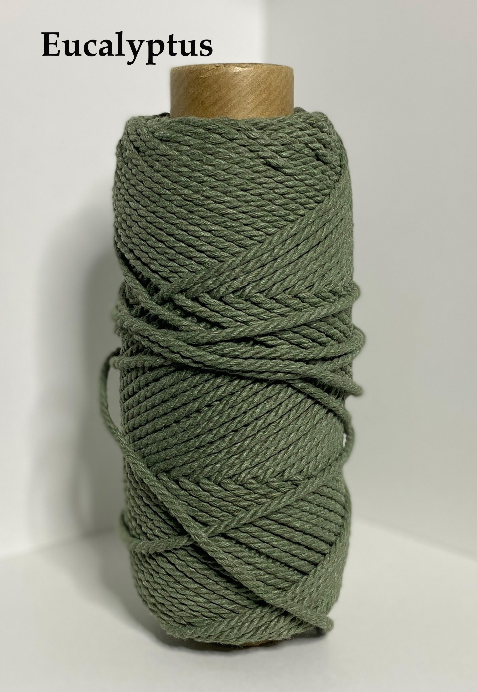 https://i.etsystatic.com/5656217/r/il/79bc3a/4679253878/il_fullxfull.4679253878_83ym.jpg