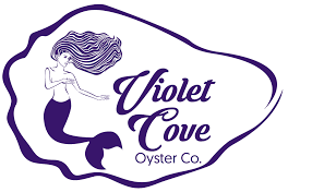 violet cove oysters
