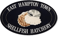East Hampton Shellfish Hatchery