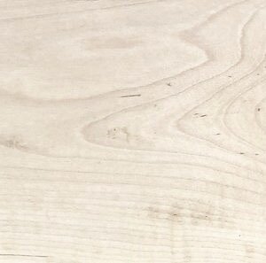 Bleached Maple