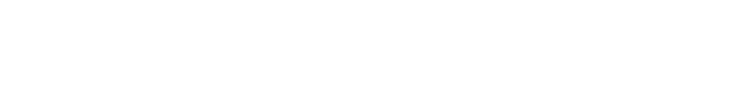 The NCLAC Gallery