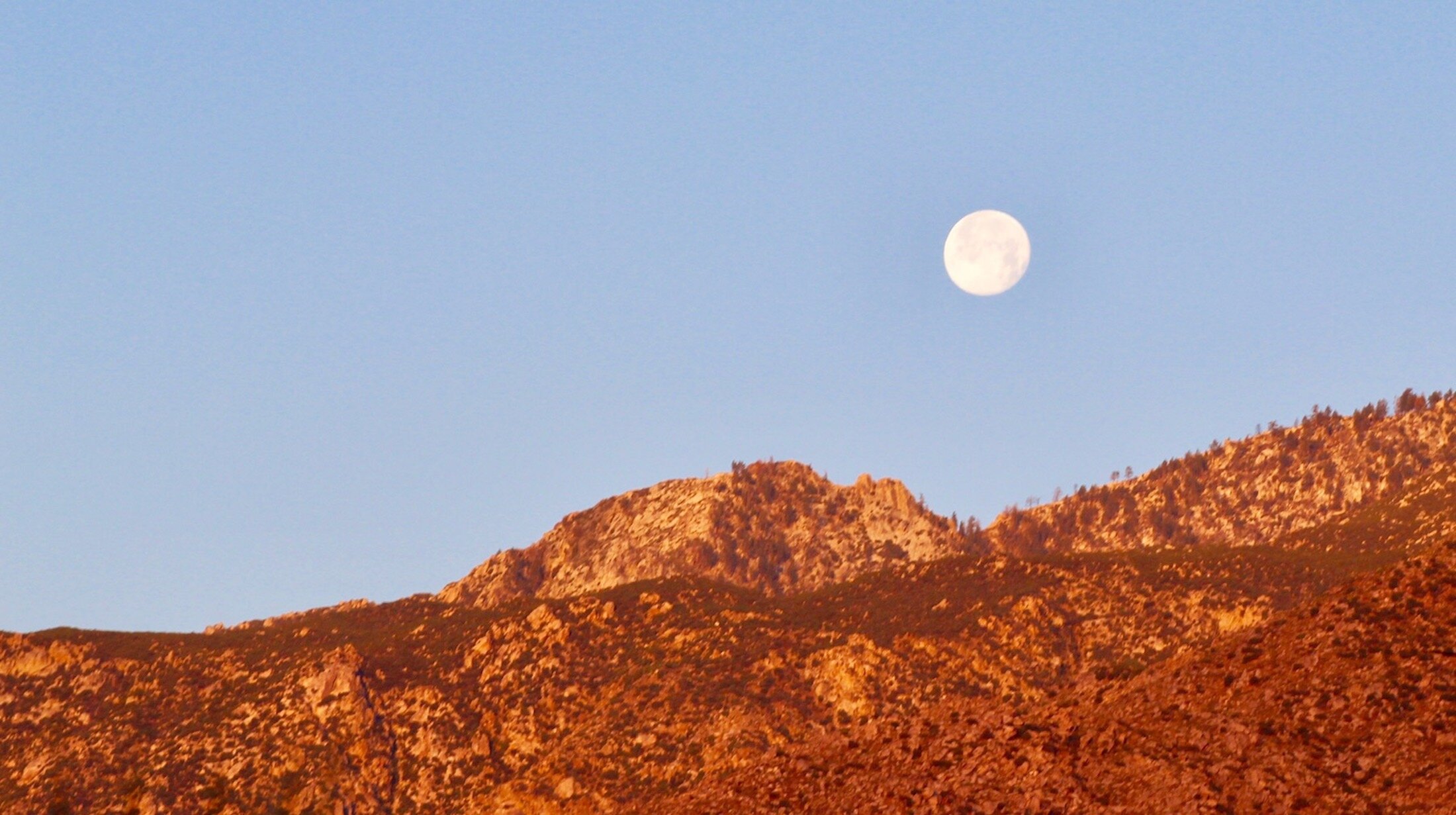 Morning Moon, Palm Springs