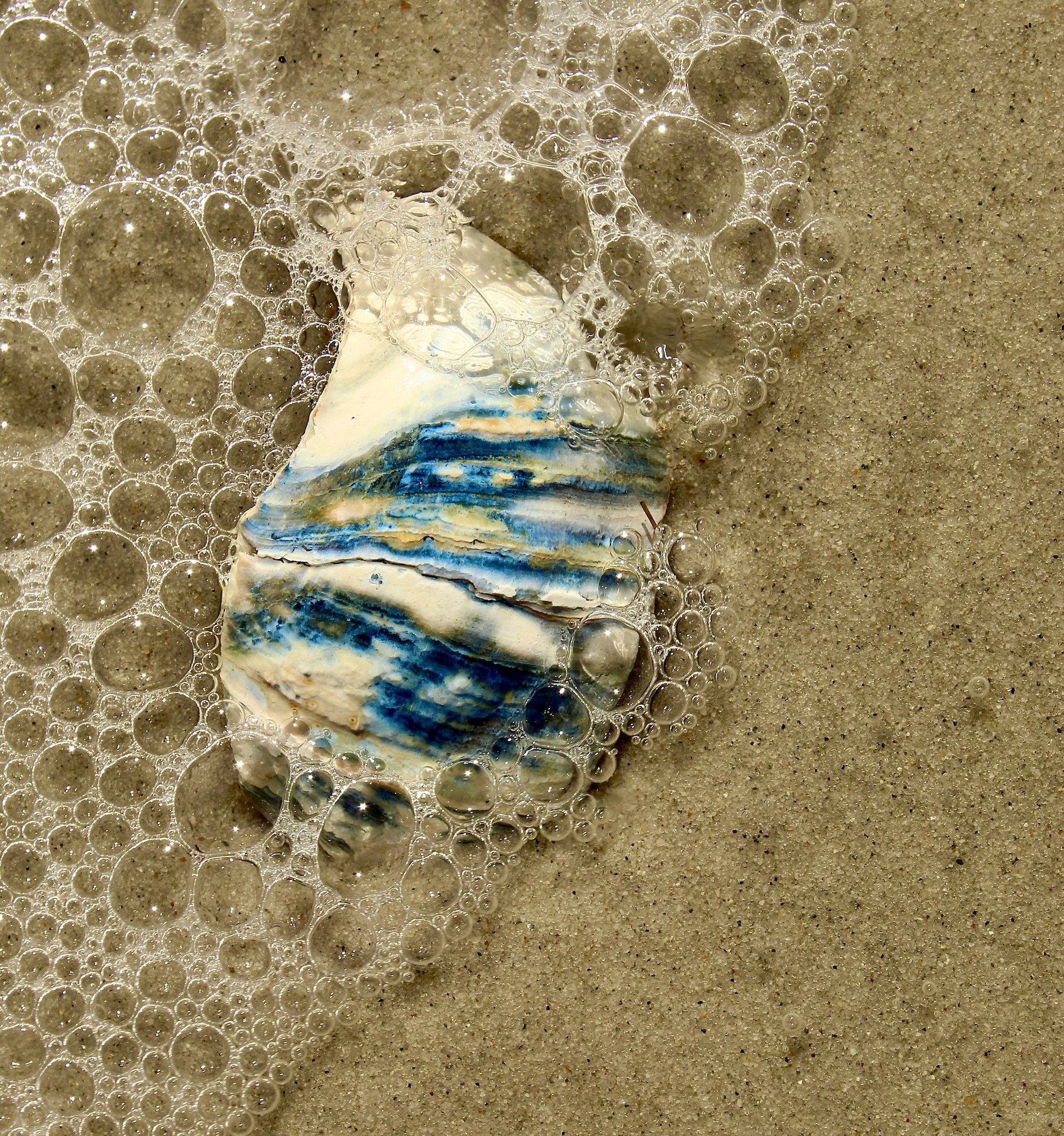 Blue Shell, Cape Cod
