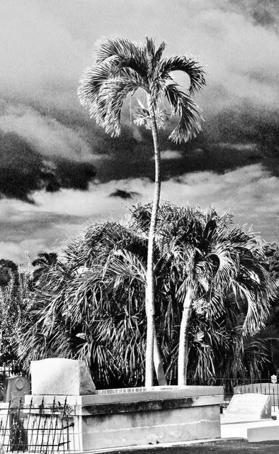 KeyWest copy.jpeg