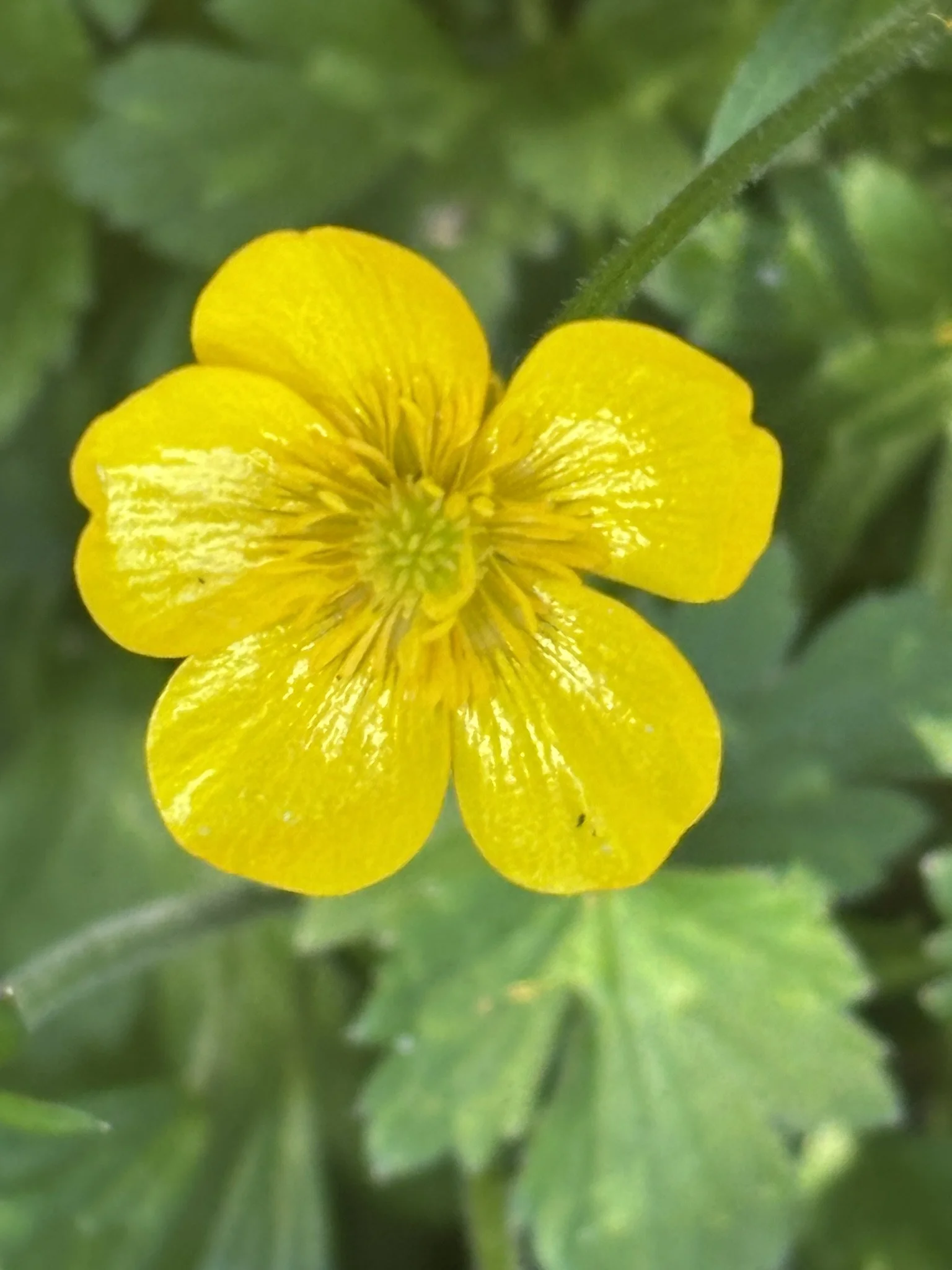 the brightness of it all 