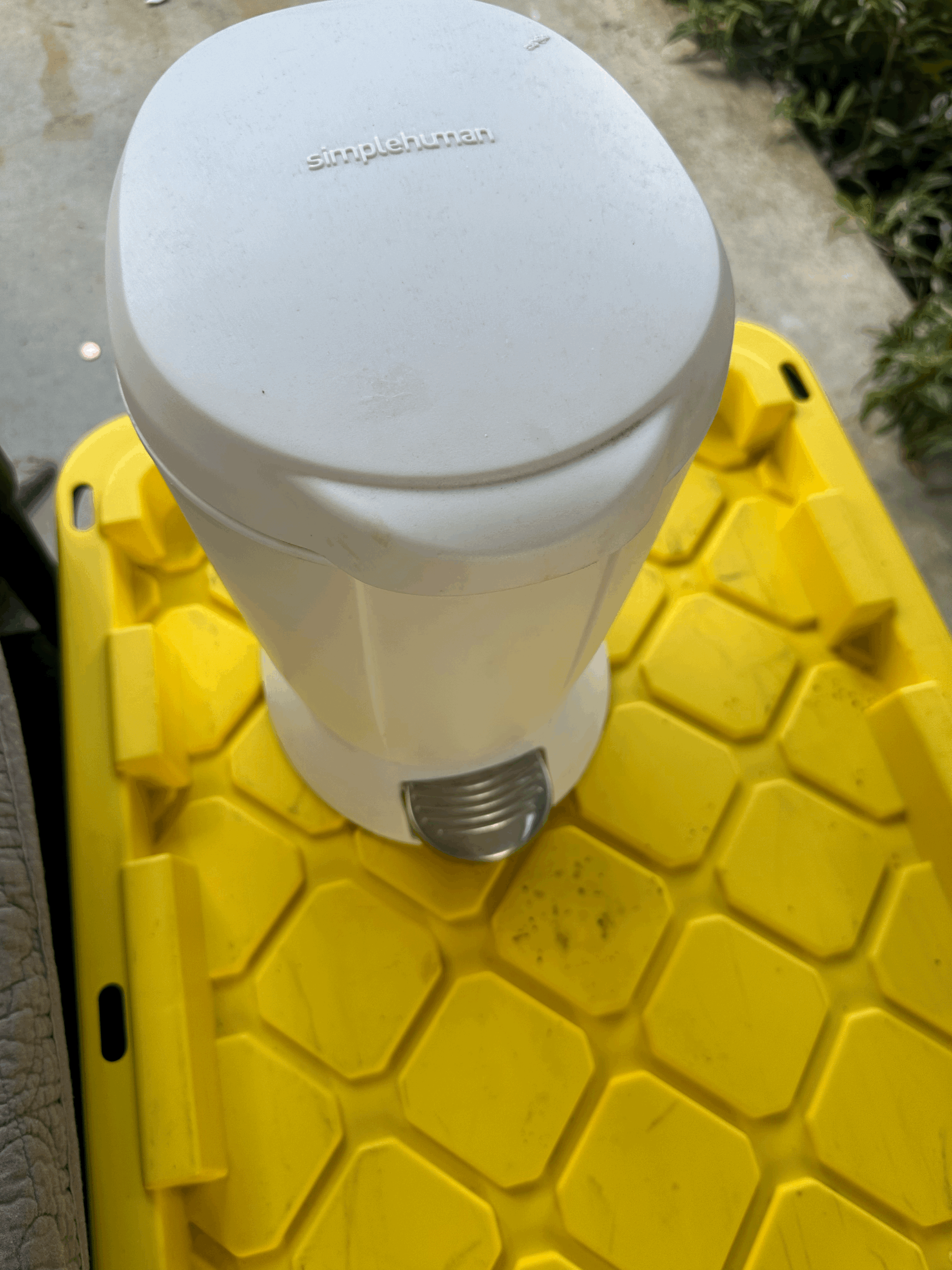 Small 2 Gal Trash Bin with Step Opener