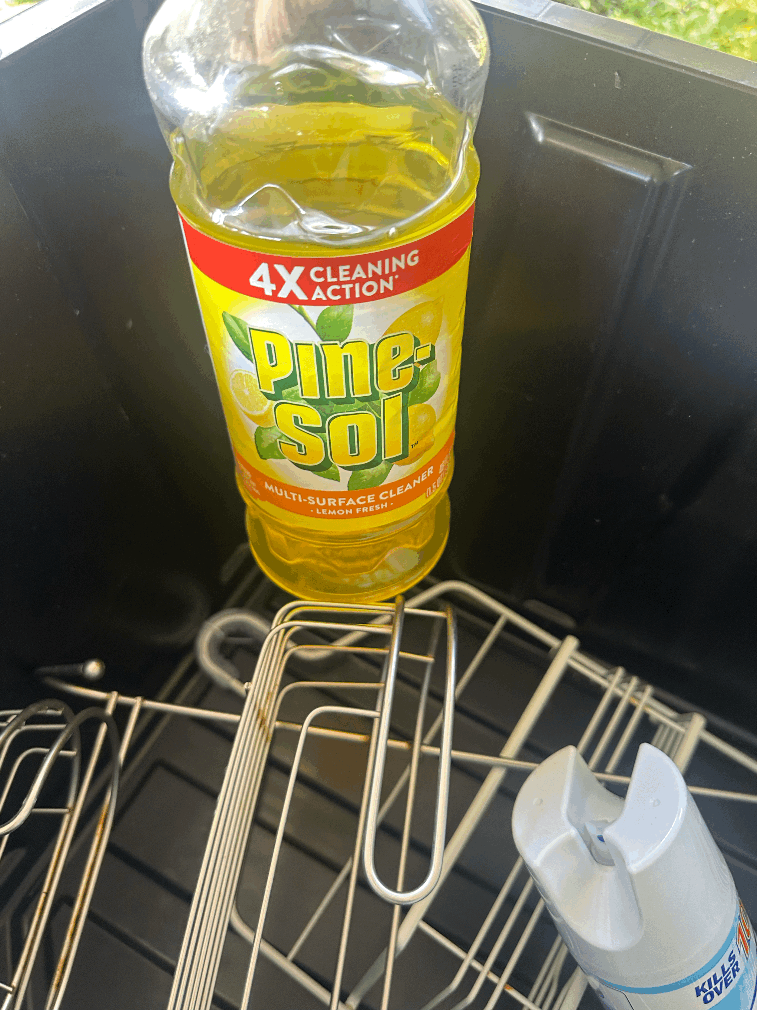 FREE - Pine Sol Cleaner