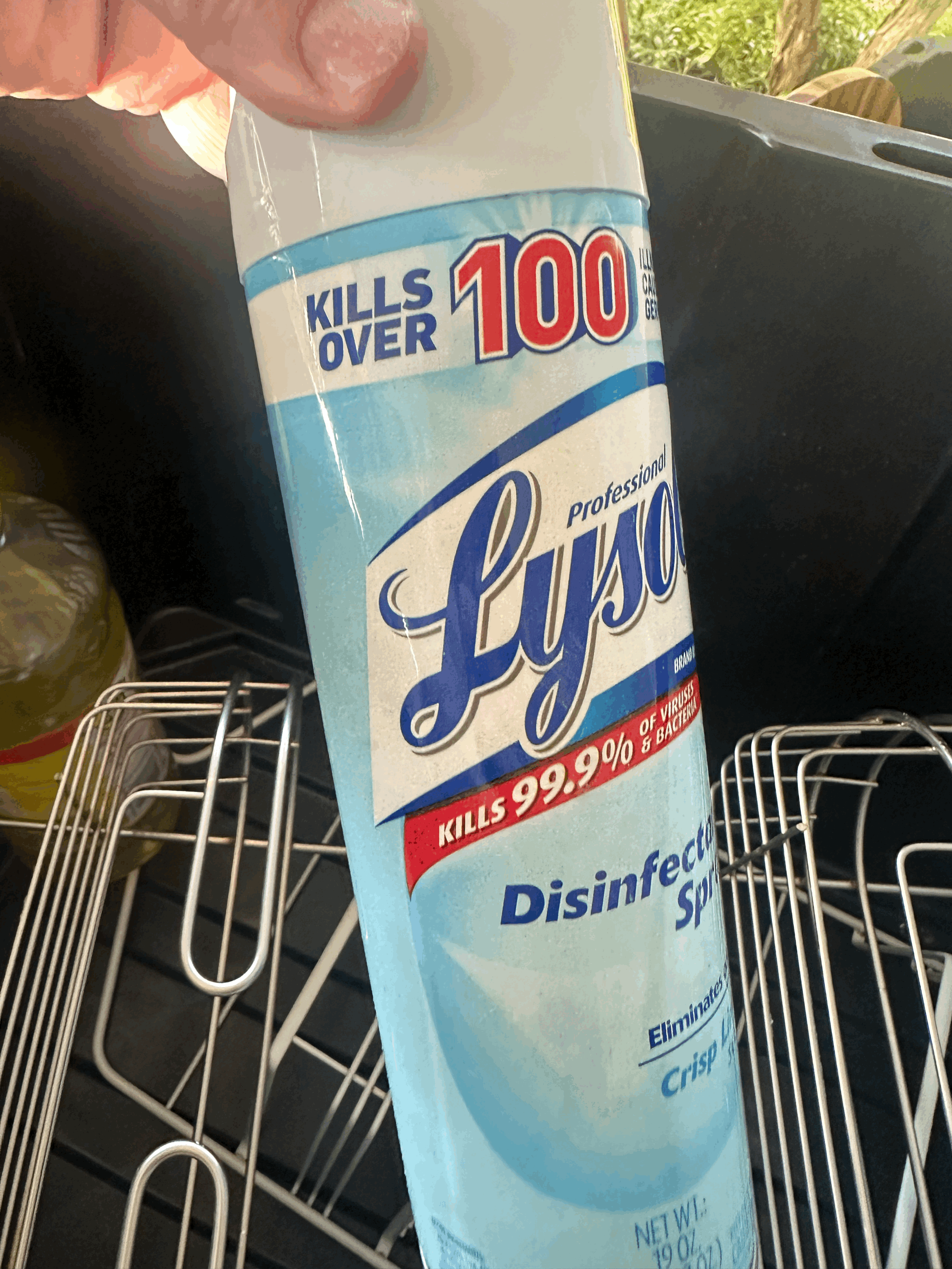 FREE - Lysol Disinfecting Spray