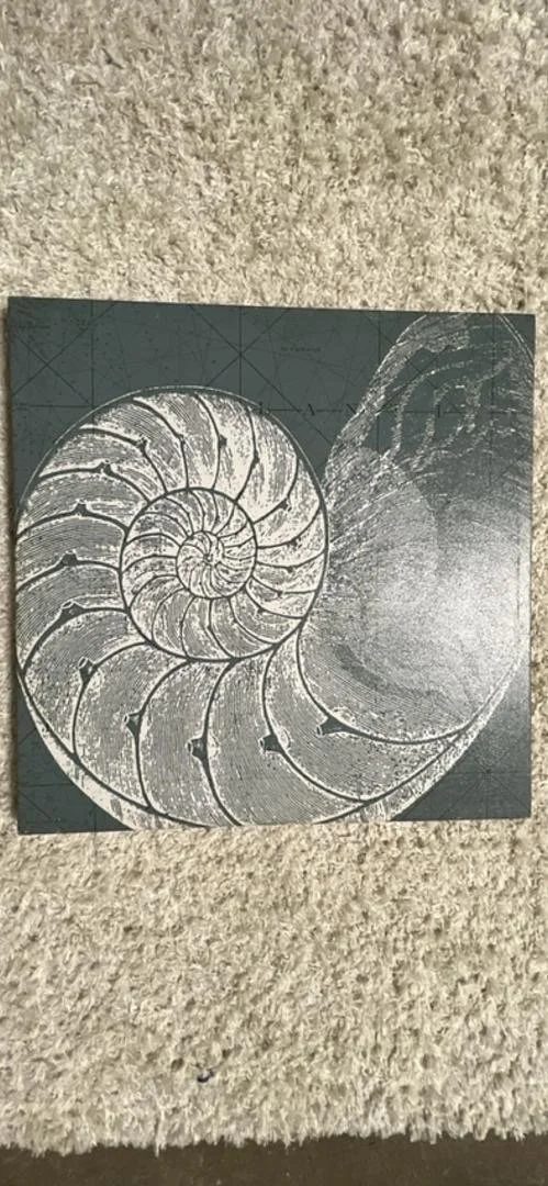 Teal Seashell Canvas Medium