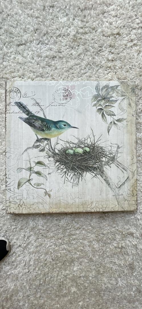 Bird Turquoise Canvas