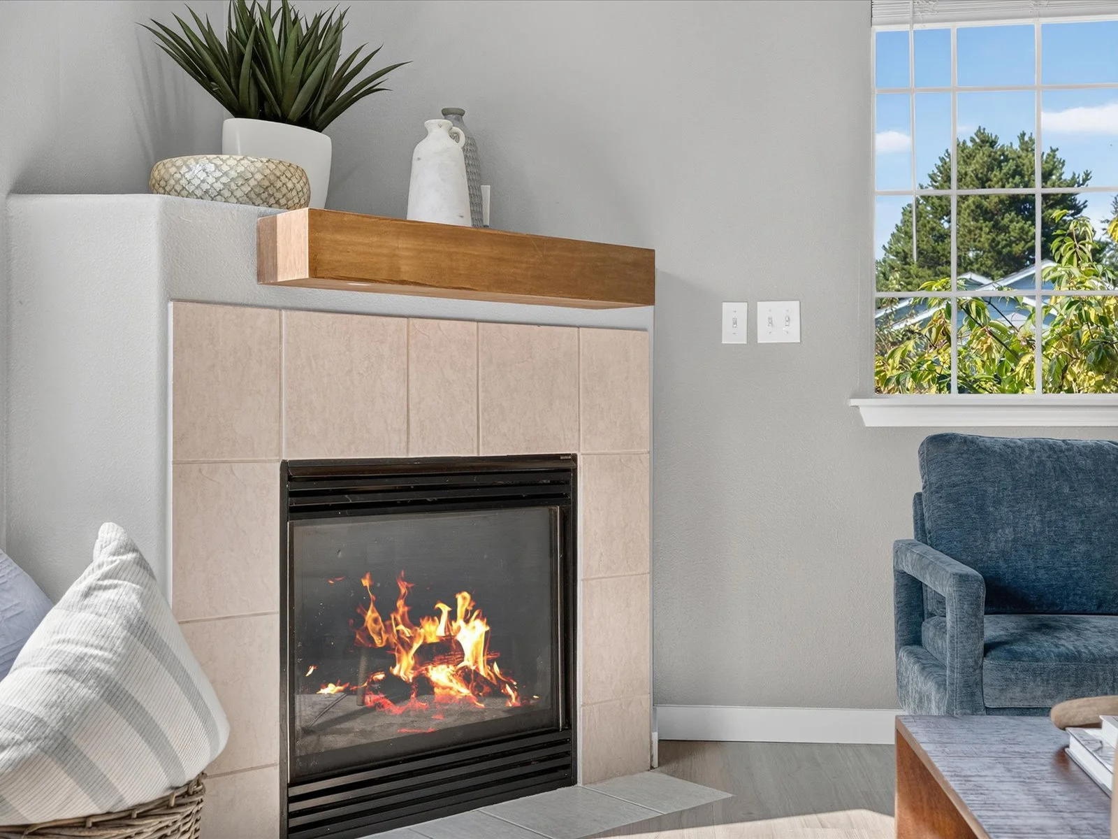 Living-Fireplace.jpg
