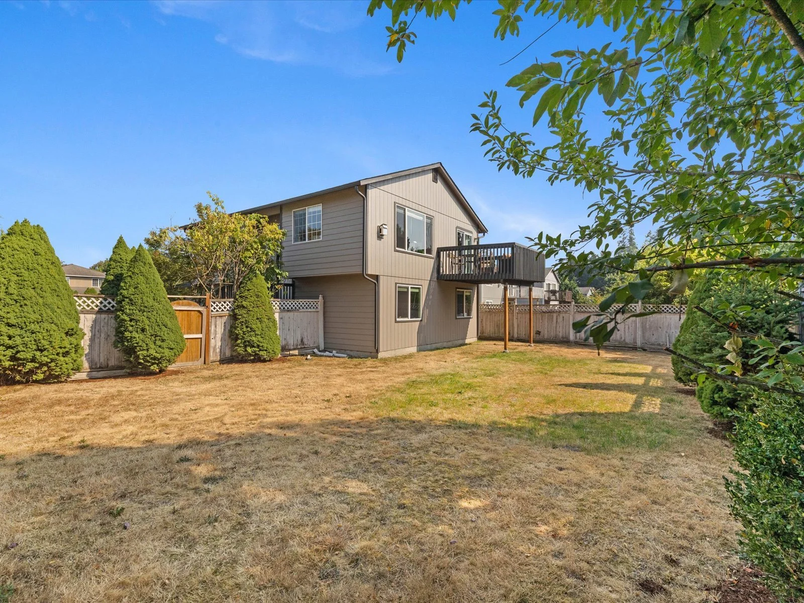 Rear Yard-1.jpg