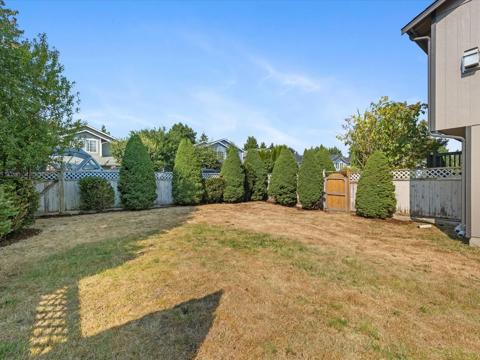 Rear Yard-2.jpg