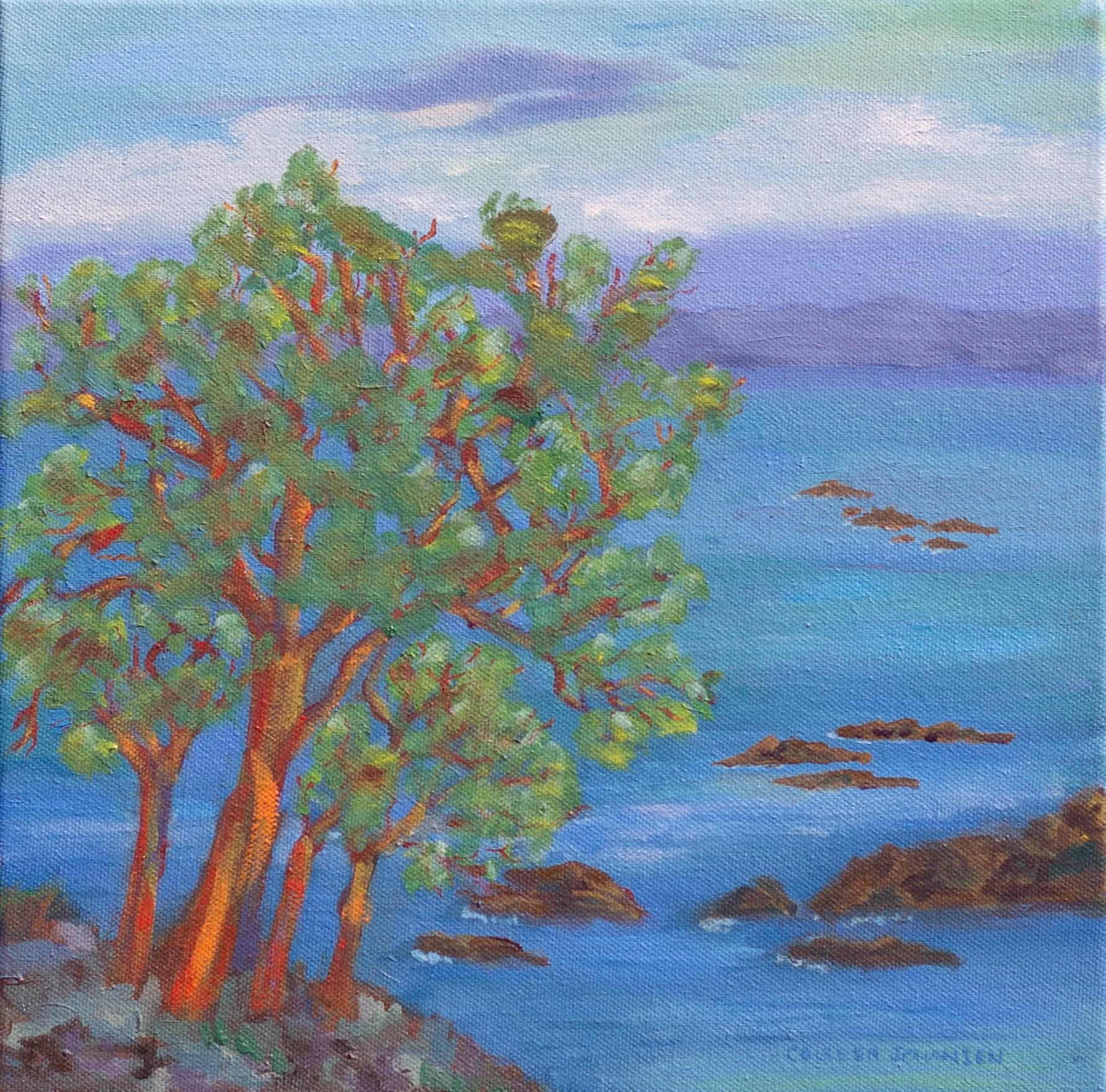 Madrona Mia 12x12 colleenjohansen.jpg