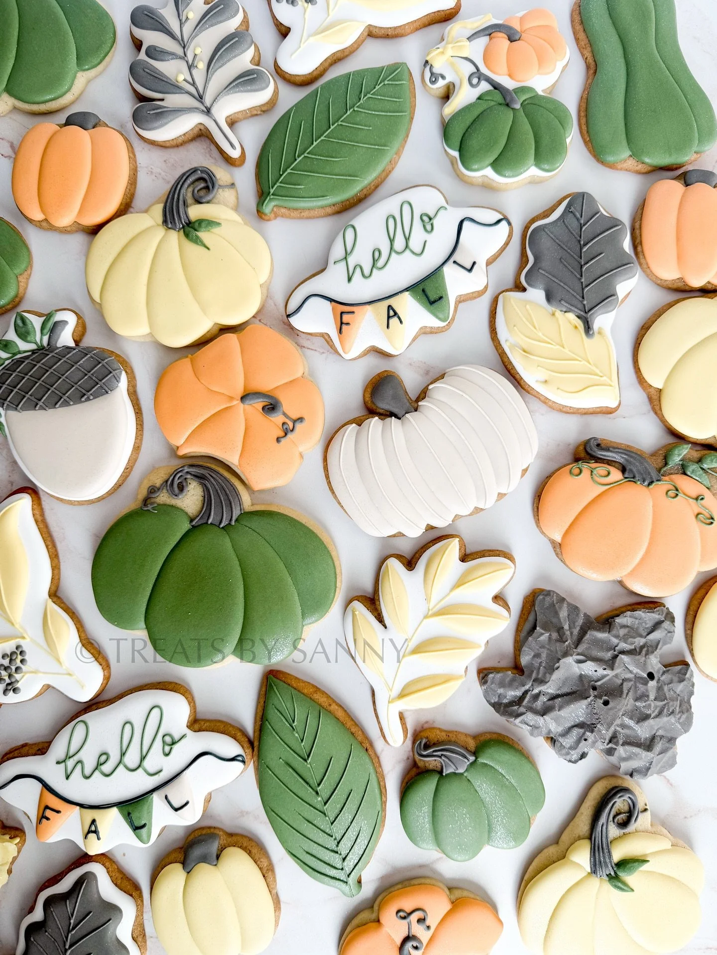 Hello fall! 🍁 🍂 Anyone else wishing for fall weather to finally hit AZ?! We still have a couple more months before that happens though 😅😅
colors made with @thesugarart gel food coloring - use code TREATSBYSANNY for 10% off
#fallcookies #fallsea
