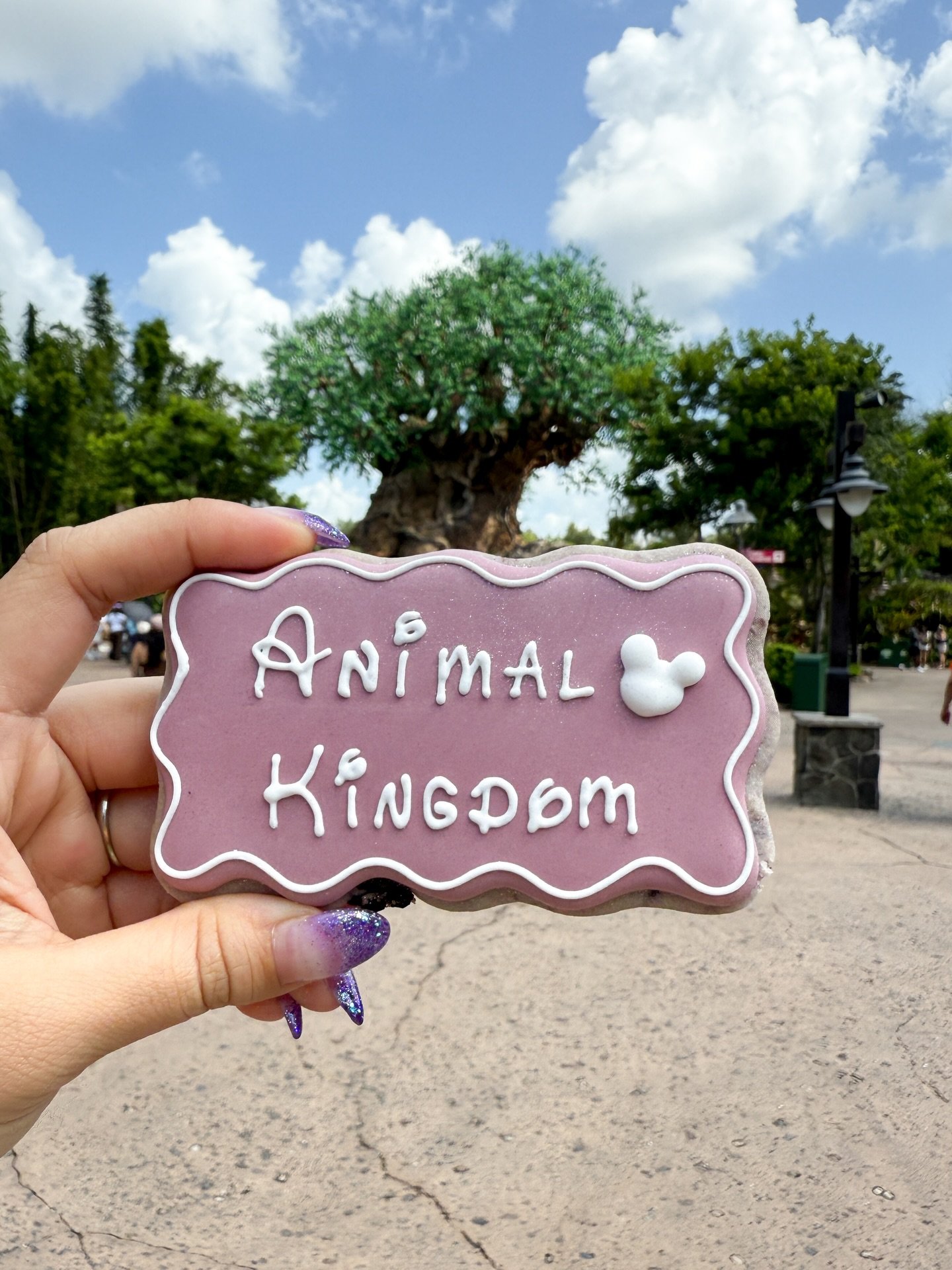 Traveling cookies - Animal Kingdom edition 🦓&hearts;️🦒

Stay tuned for the full cookie set next week! 

#disneyworld #decoratedsugarcookies #disneycookies Animal Kingdom cookies, Disney travel cookies, custom sugar cookies, Disney World treats, Mic