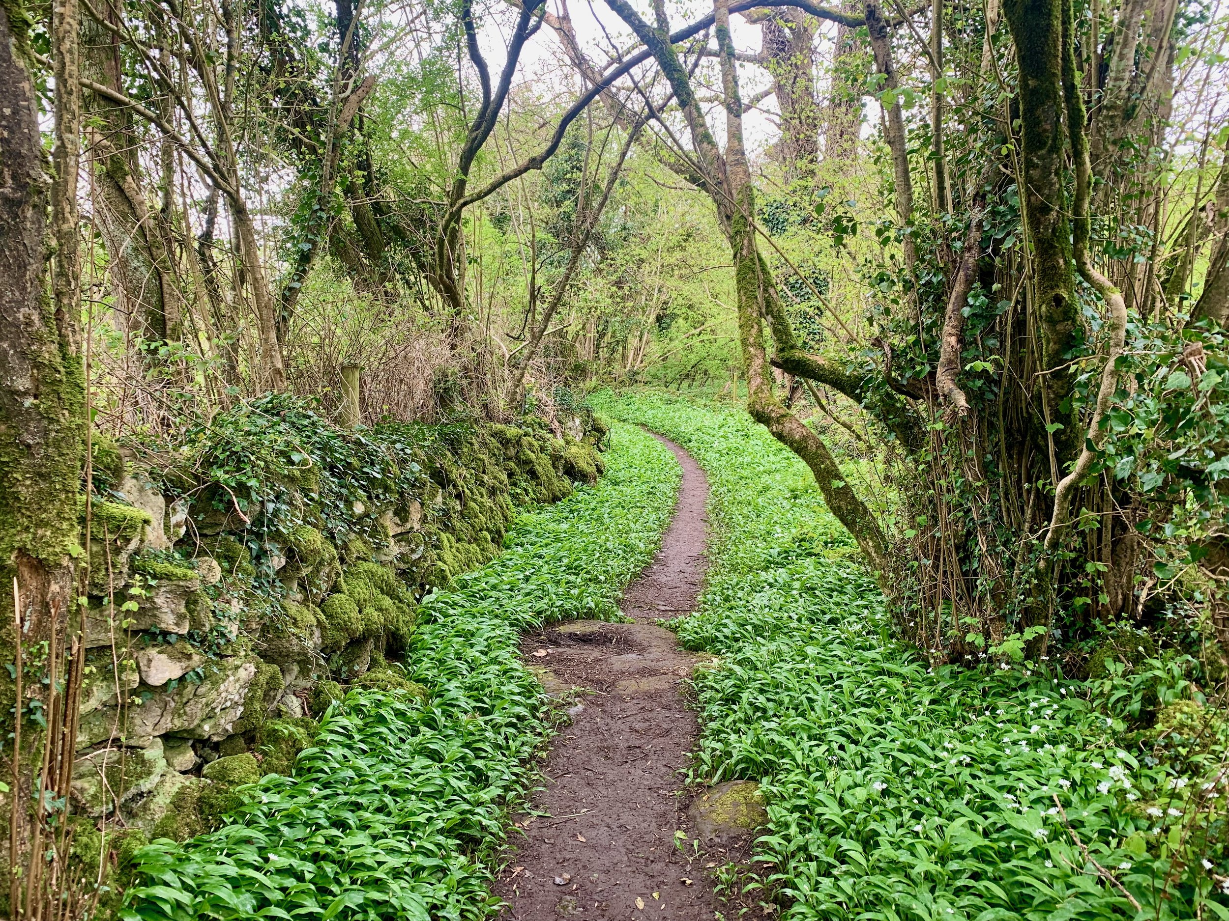 Path to the Meehambee Dolmen