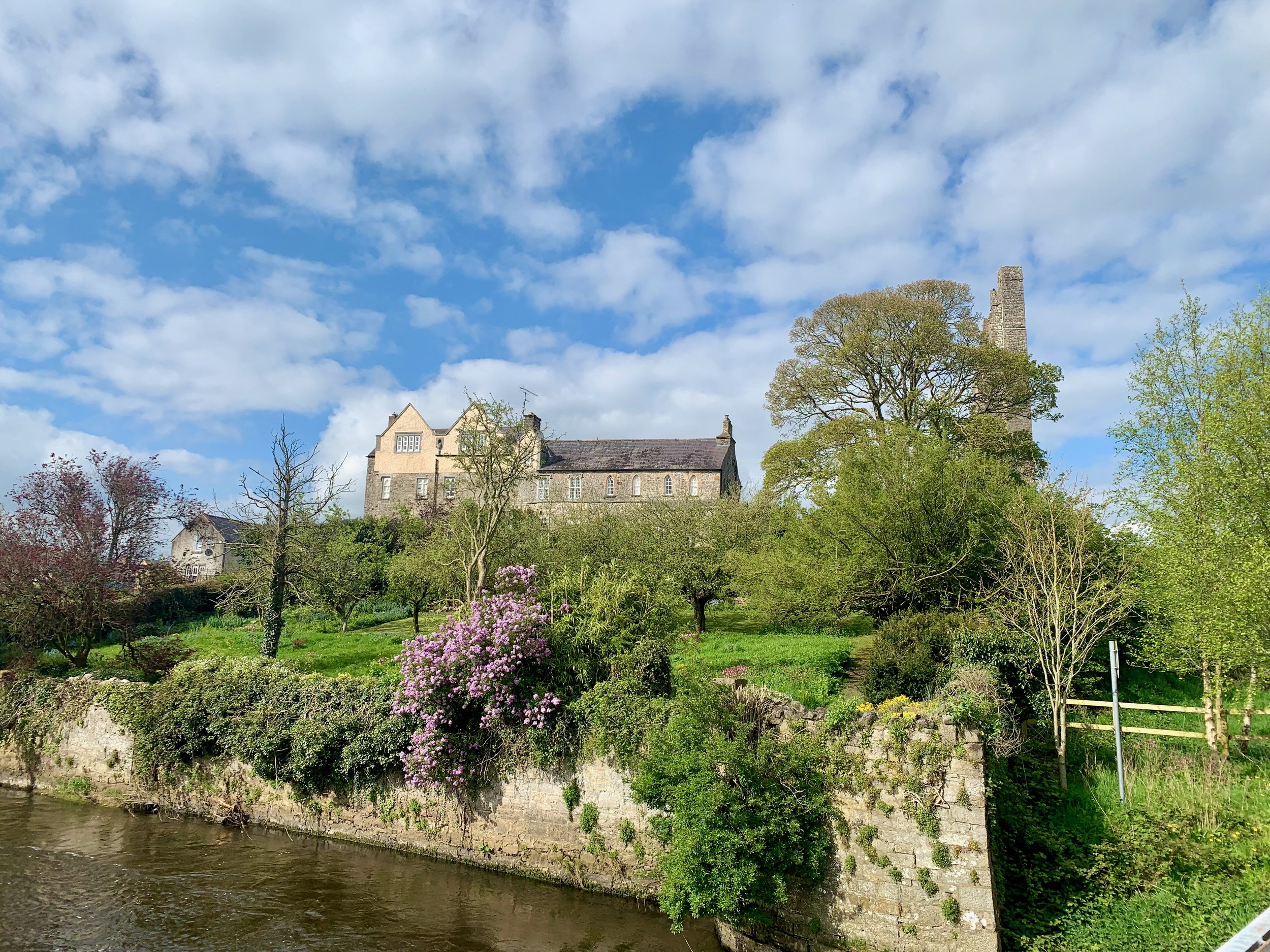 The Boyne, St. Mary's Abbey, and the Salmon of Knowledge