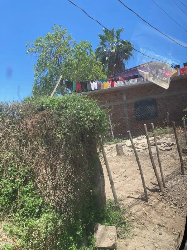 image14.jpg