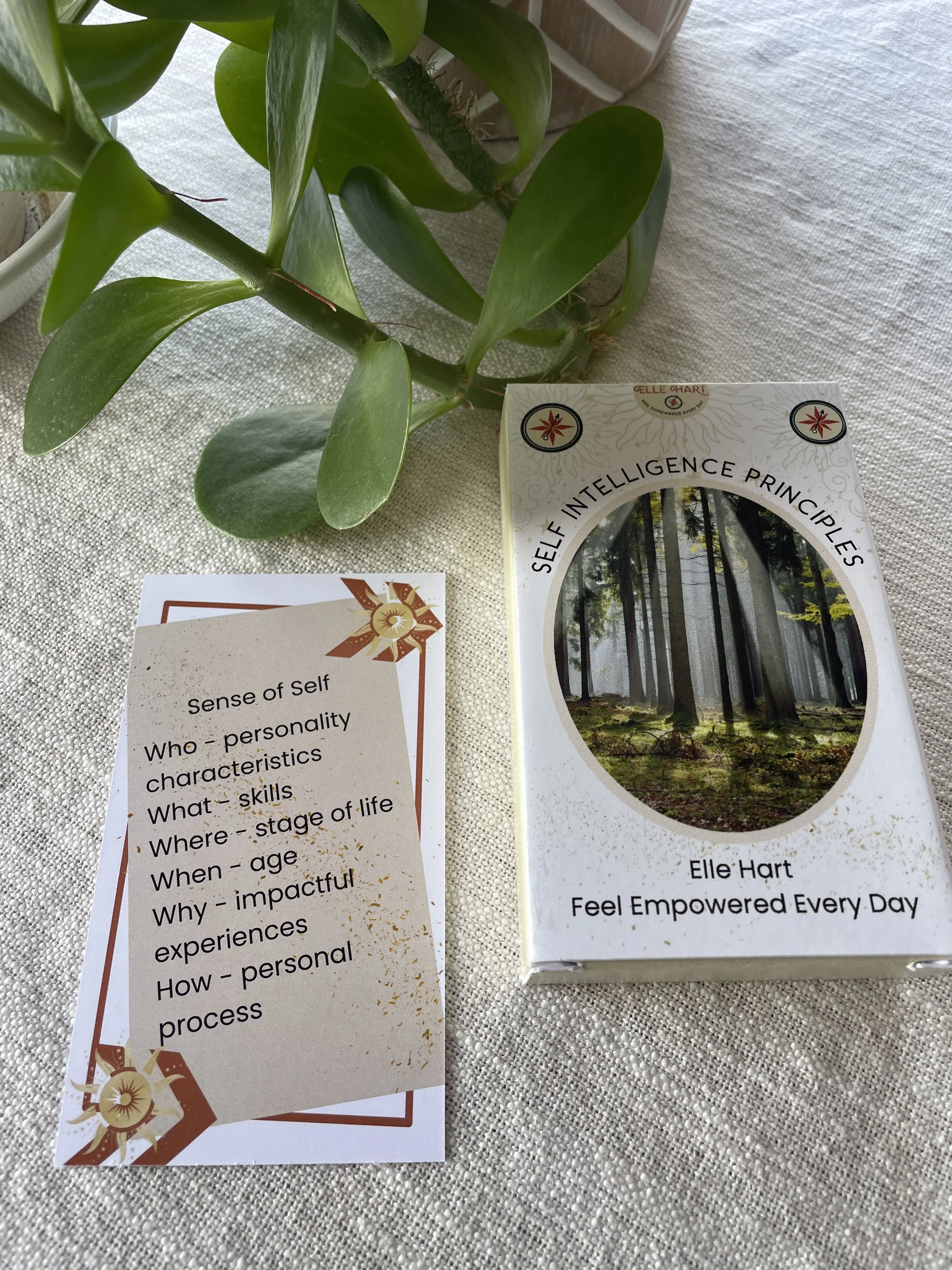 Sense of Self - Self Intelligence Principle