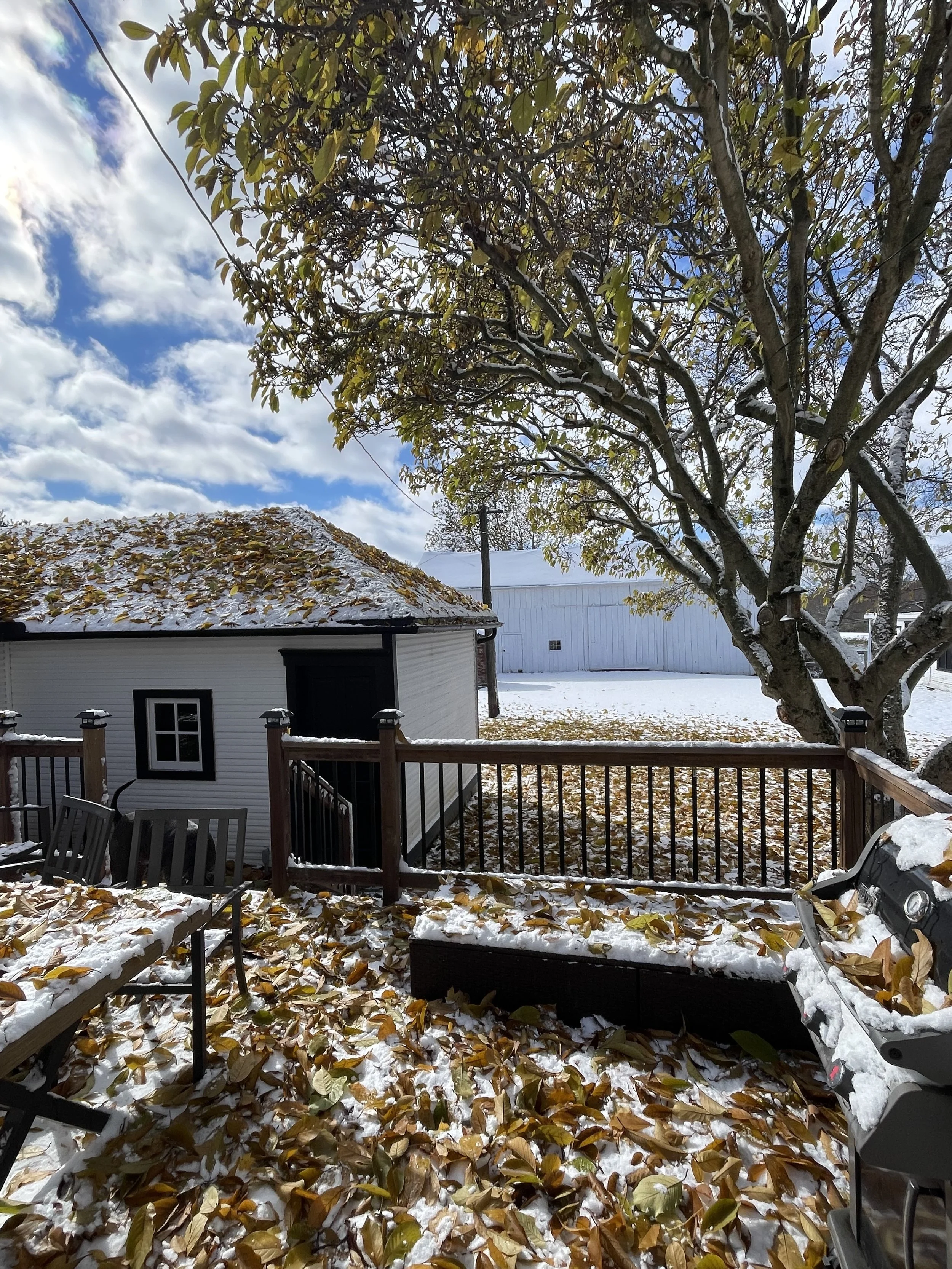 Backyard patio with fallen leaves and snow, large tree, small shed, porch railing, sky with clouds, and barbecue grill.