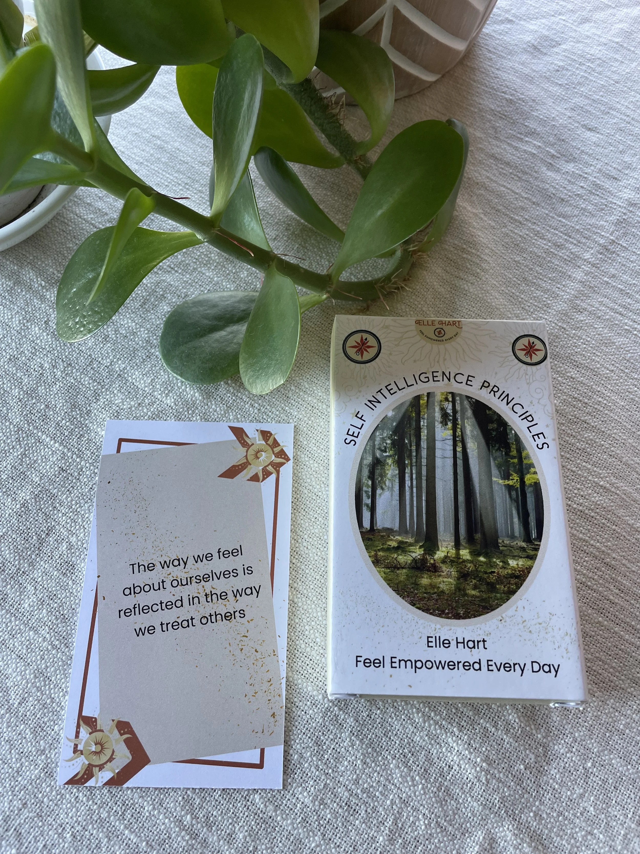 self intelligence principle card - the way we feel about ourselves is reflected in the way we treat others