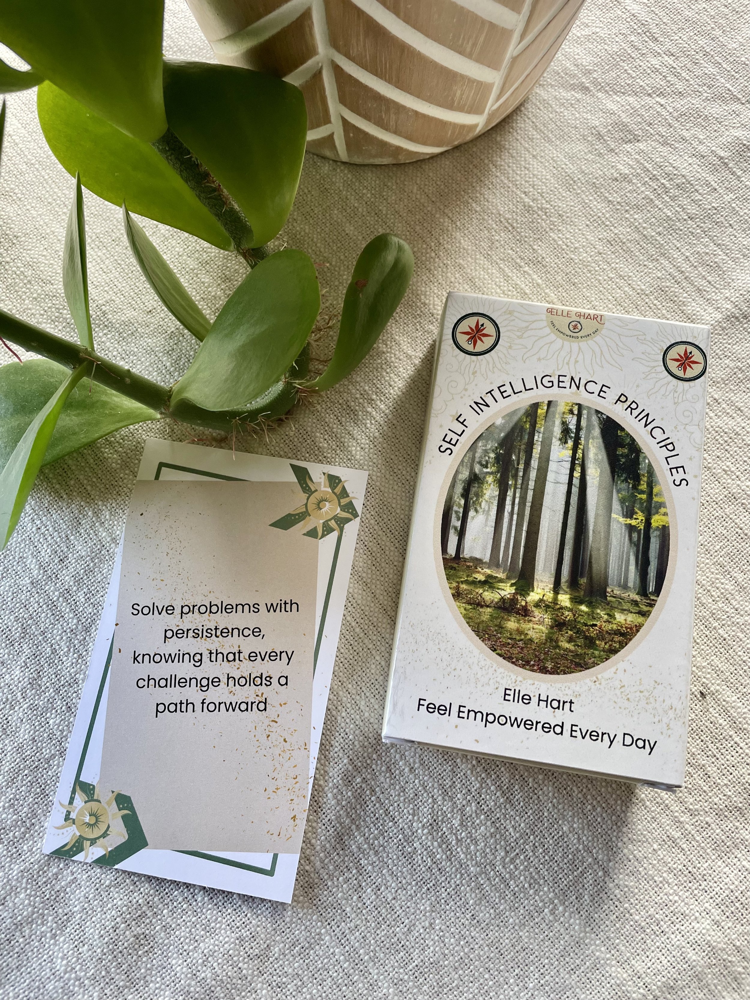 Solve problems with persistence, knowing that every challenge holds a path forward