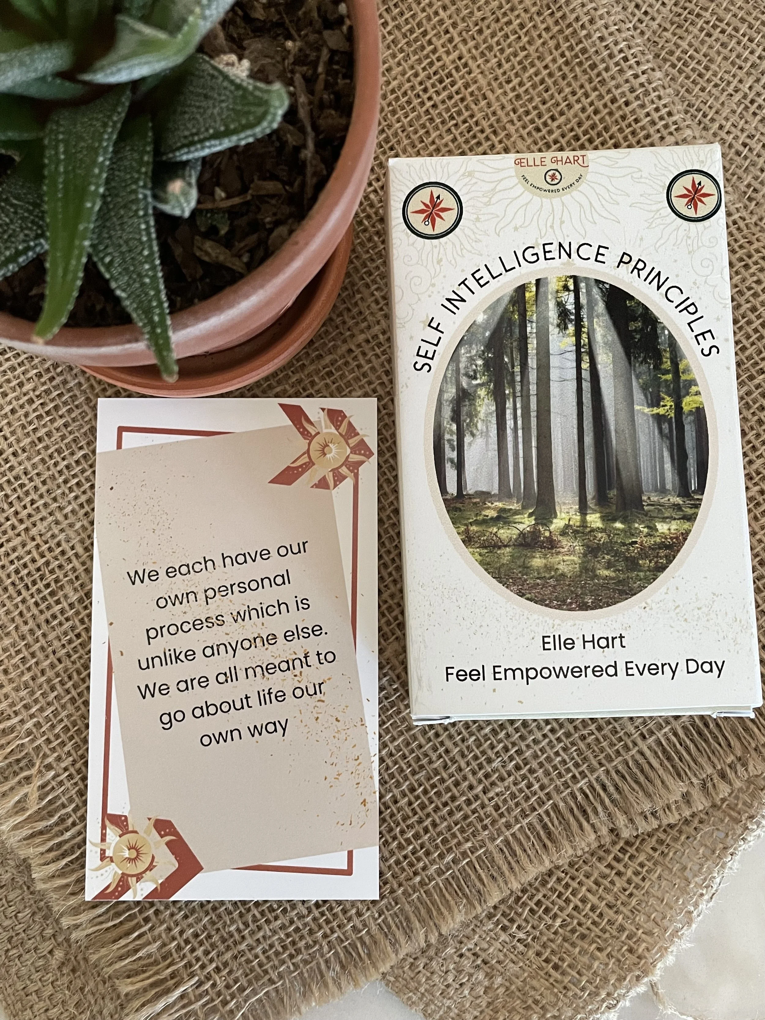 Self Intelligence Principle Card