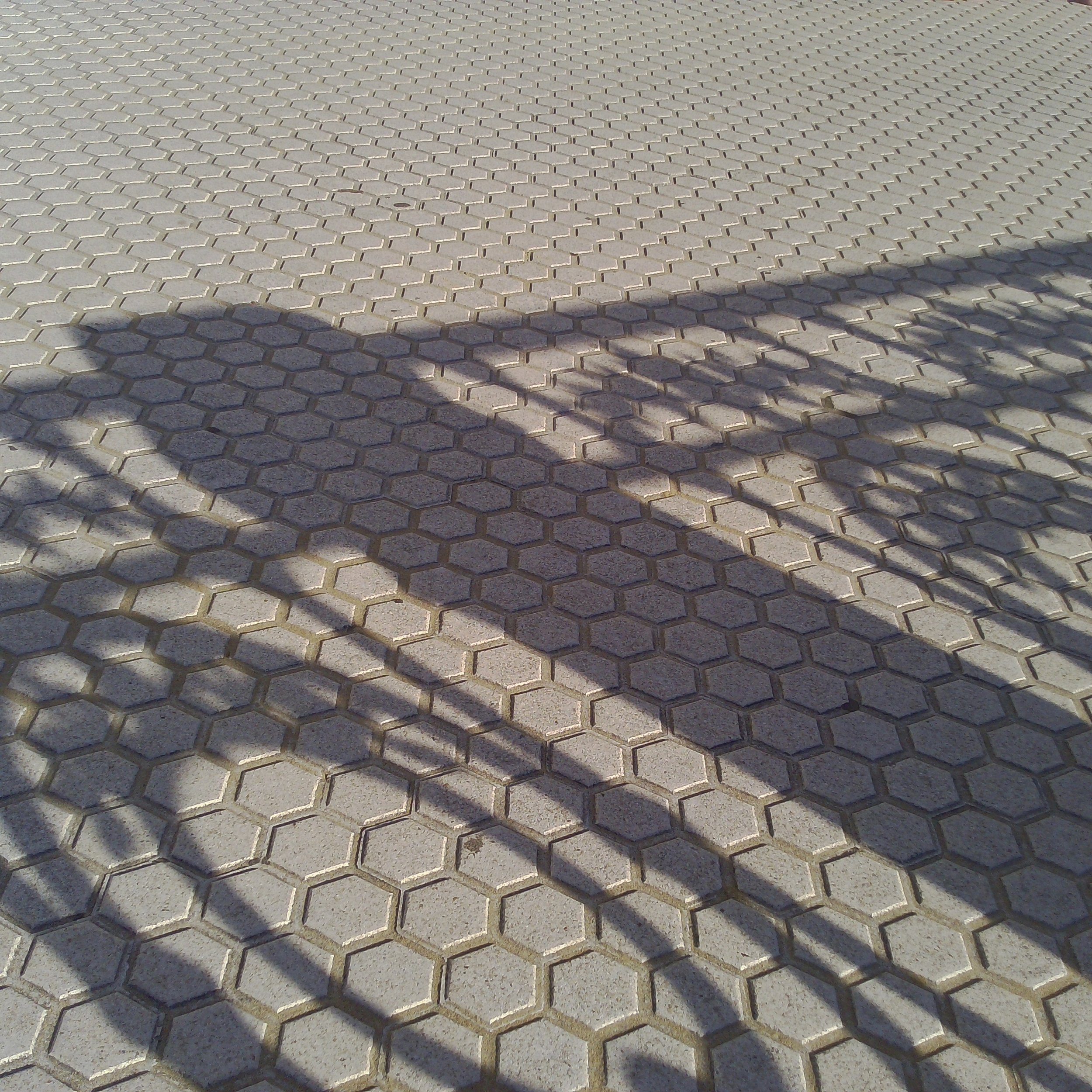 20260602_SMN_0376.jpg