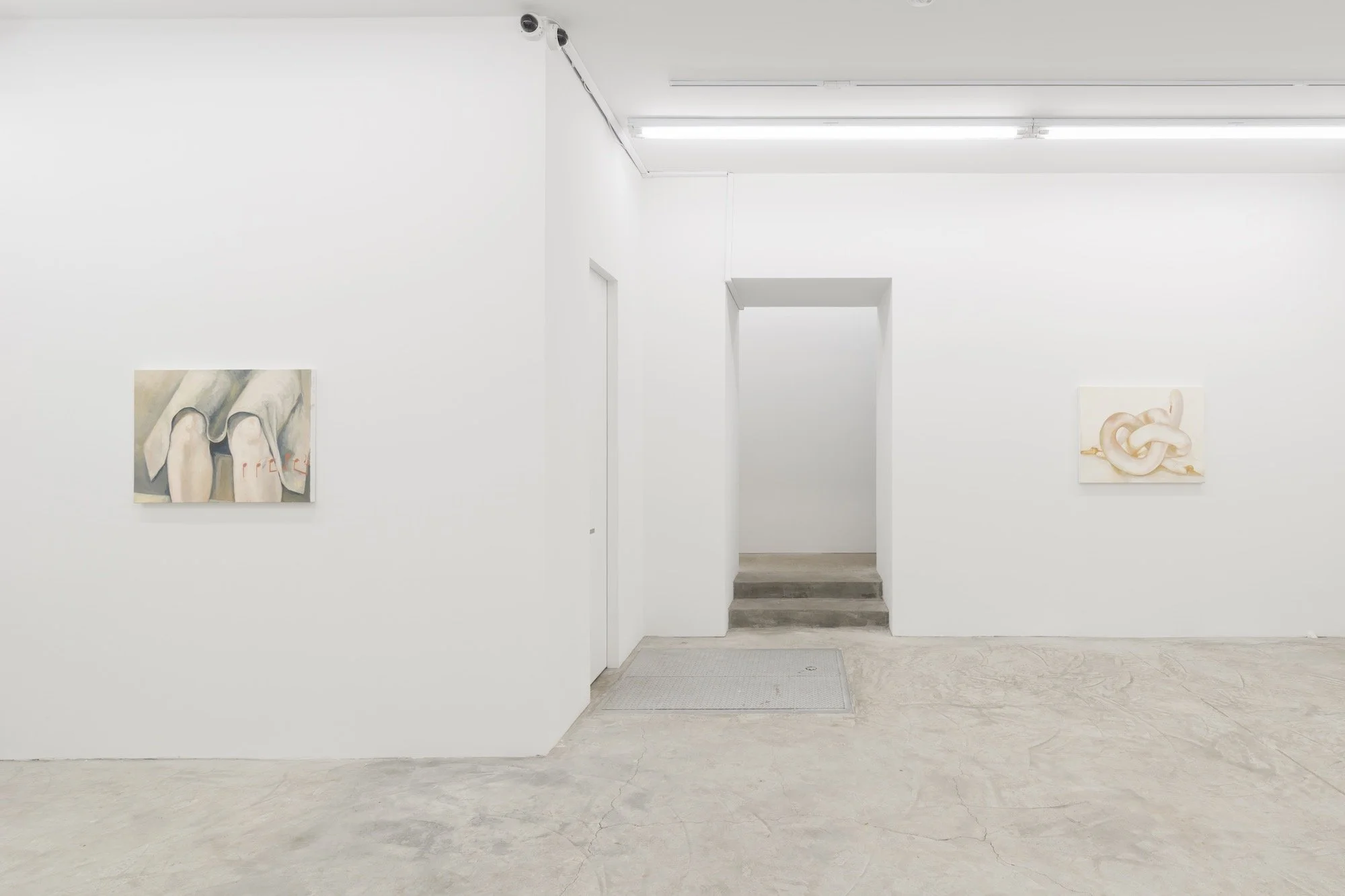 Xiao Hanqiu,  Love stories and horror stories , Installation View at Lyles & King, 2022