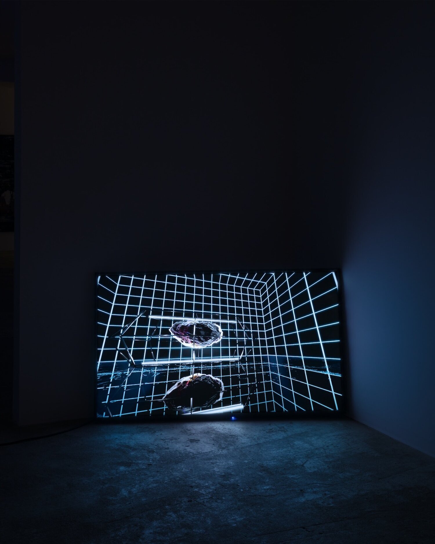 Chris Dorland,  Untitled (species II) , 2020, 4k Ultra HD resolution, 1 min 40 sec looped, Edition of 3 + 2 AP