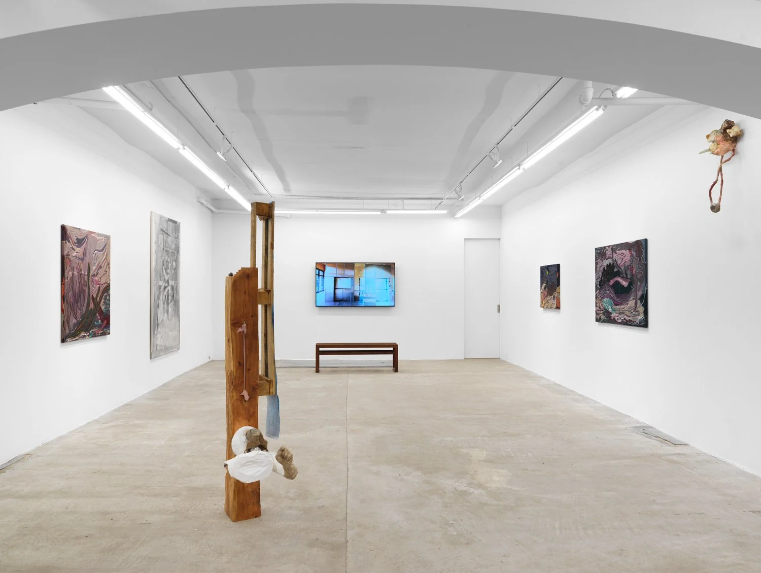 Installation view of  Cato Ouyang, Fernanda Galvão, Ren Light Pan  at Lyles & King, New York, 2026