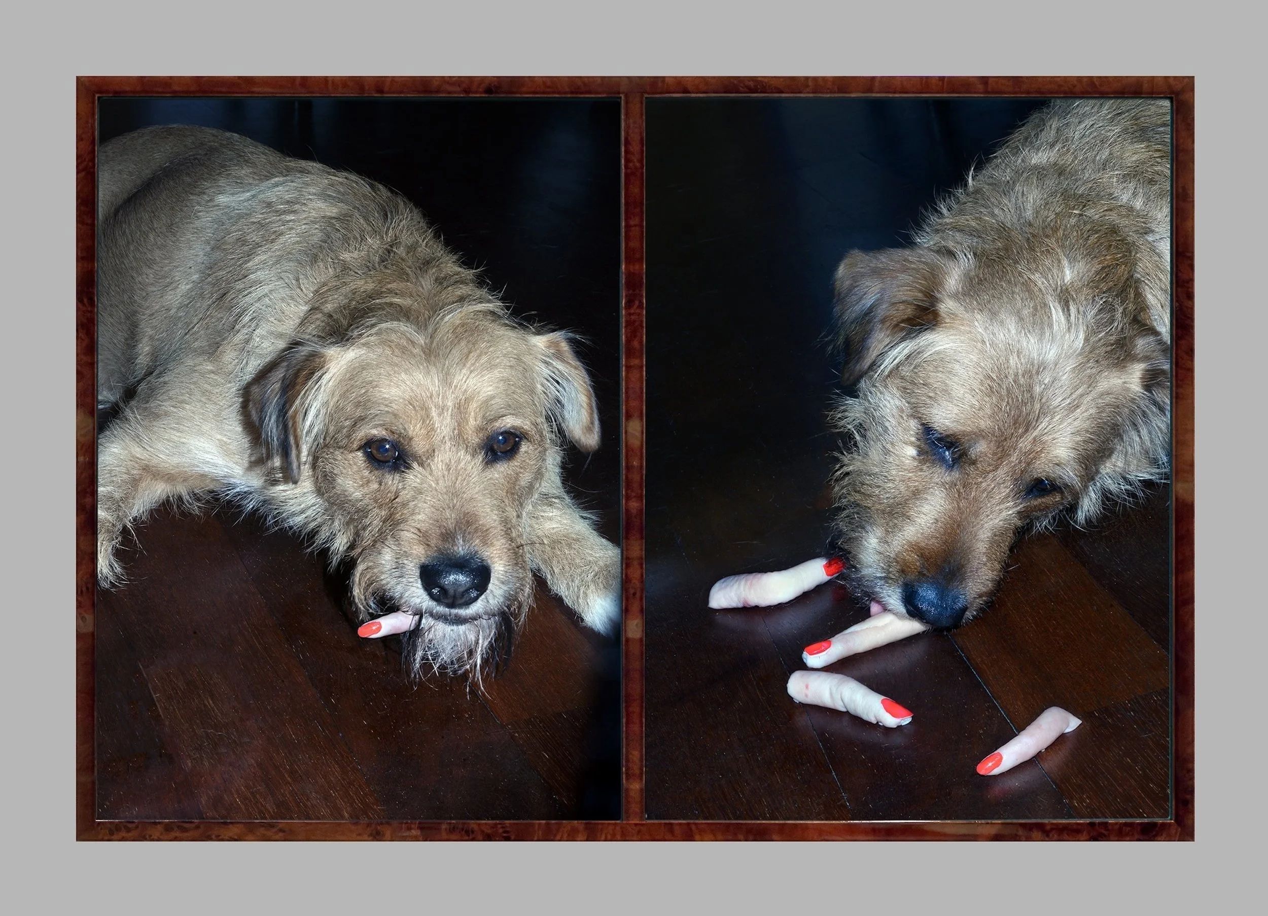 Aneta Grzeszykowska
  Selfie with Dog #04 , 2023
 Archival print on cotton paper
 34 1/3 x 23 2/3 x 7/9 inches, 87 x 60 x 2 cm