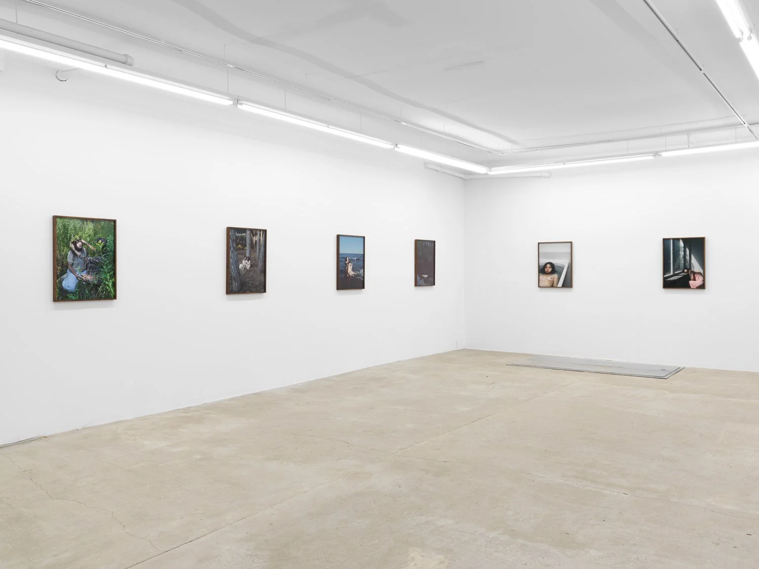 Installation view of  Aneta Grzeszykowska :  Daughter  at Lyles & King, New York